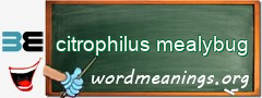 WordMeaning blackboard for citrophilus mealybug